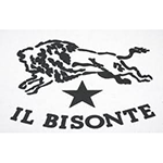 IL BISONTE